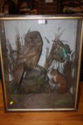A GLASS CASED TAXIDERMY STUDY OF N OWL, RED SQUIRREL AND A KING FISHER, H 66.5 CM, W 53 CM D 19 CM