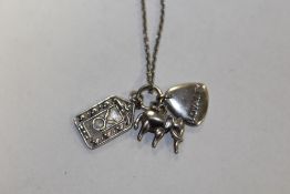 A STERLING SILVER NECKLACE AND CHARM - APPROX WEIGHT 7.6G