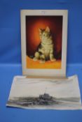 W. G. WHITAKER - A WATERCOLOUR OF A SEATED KITTEN carries the Elgin Studios stamp to back signed