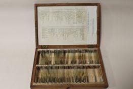 A CASE OF MICROSCOPE SLIDES