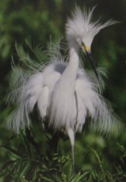 Penkridge Auction Rooms Antique & Interiors Online Only Auction - Viewing By Appointment