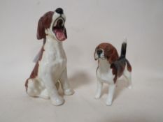 A BESWICK YAWNING BEAGLE TOGETHER WITH BESWICK 'WENDOVER BILLY' (2)