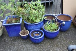 EIGHT BLUE GLAZED PLANT POTS LARGEST H-42 CM ( WITH CONTENTS )