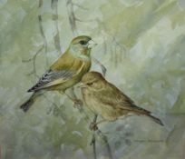 MARGERY STEPHENSON (1929). 'Study of Two Greenfinches' and 'Study of a Blackbird', signed lower