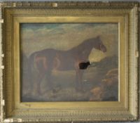 (XIX). Study of a horse in a wooded landscape, unsigned, oil on canvas framed, 39 x 49, A/F