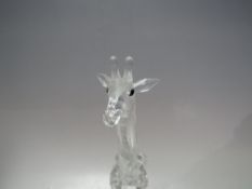 A SWAROVSKI CRYSTAL GIRAFFE, with box and certificate, H 14 cm