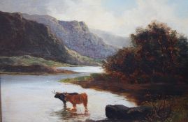 ENGLISH SCHOOL (XX). Study of Highland cattle in a mountain landscape, oil on re-lined canvas,