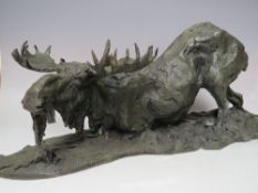 A 20TH CENTURY BRONZE STUDY OF A KNEELING MOOSE, indistinct signature to right 'B.C. ZHE??', H 23