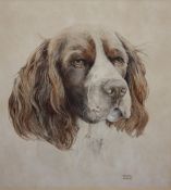ROBERTA SCOTT (XX). Study of a spaniel, signed lower right, drawing / watercolour, framed and