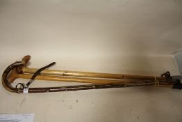 THREE WALKING STICKS