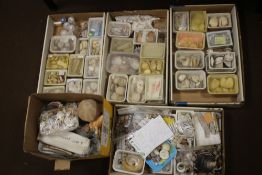 A LARGE COLLECTION OF ASSORTED SEA AND OTHER SHELLS¦