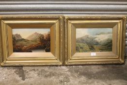 A PAIR OF GILT FRAMED OIL ON CANVAS OF MOUNTAINOUS LANDSCAPES, H 20 BY W 30 CM