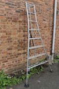 A SET OF FRUIT PICKING / HARVESTING LADDERS