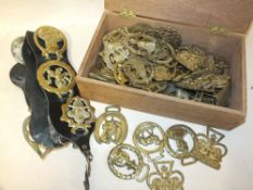 A WOODEN LIDDED BOX CONTAINING A QUANTITY OF HORSE BRASSES