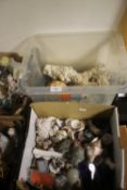 A COLLECTION OF SHELLS, CORAL ETC