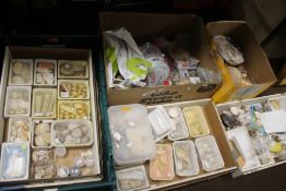 A LARGE COLLECTION OF ASSORTED SEA AND OTHER SHELLS (TRAYS NOT INCLUDED)