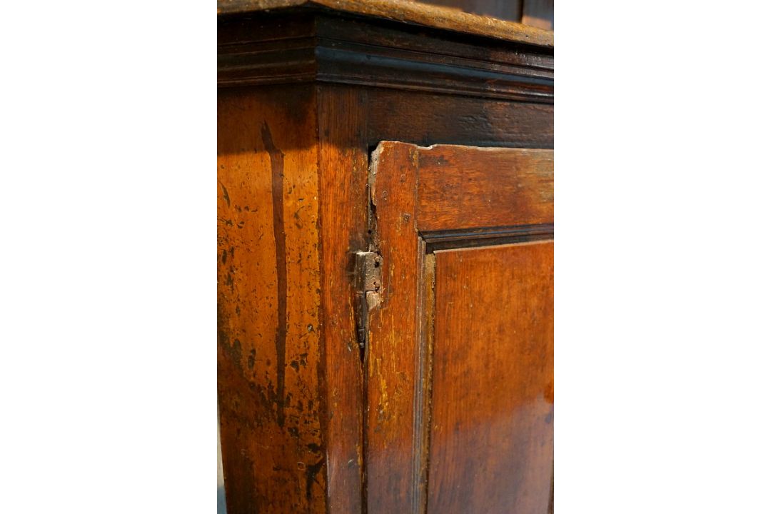 Großer Münsterländer "Prahlhans", orig. um 1780 - Bild 5 aus 9