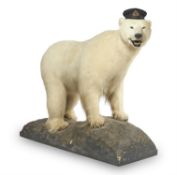 Y A TAXIDERMY POLAR BEAR, 21ST CENTURY