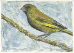 Ruth Addinall, Greenfinch, 2020