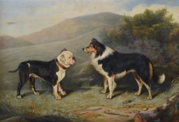 Edward Lloyd (British 1818-1901), A collie and a bulldog