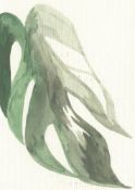 Miranda Forrester, Monstera #2, 2021