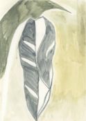 Miranda Forrester, Monstera #1, 2021