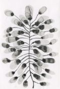 Yuriko Kawase, A Star Plant, 2021