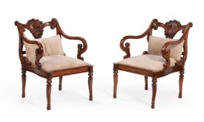 A pair of exotic hardwood open armchairs in Anglo-Indian early 19th century style