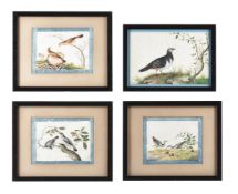 Eight various Chinese School paintings