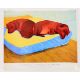 After David Hockney, Dog Painting, 38, Exhibition Poster - Image 3 of 3