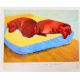 After David Hockney, Dog Painting, 38, Exhibition Poster - Image 2 of 3