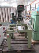 Stromab Radical Arm Saw Model R565