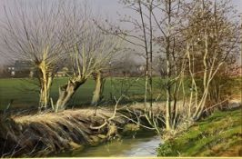 Peter Newcombe, Early Spring Slapton.