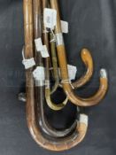 Walking sticks, five with silver collars, two with silver tips.