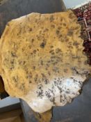 Treen: Burr elm tabletop. 26ins.