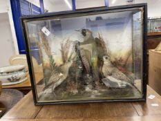 19th cent. Taxidermy specimen Green Woodpecker with two young. 21ins. x 16½ins. x 6¾ins.