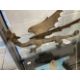 20th cent. Cast bronze dragon. 13ins. - Image 1 of 2
