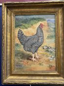 19th cent. Frederick Chatterton. Oil on canvas, Chicken Study Plymouth Rock (Barred Rock), signed