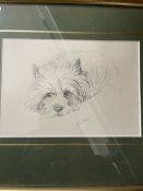 Pictures & Prints: Large collection of prints, watercolours, and oils of various subjects and sizes.