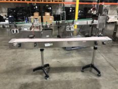 Capping Machine Conveyor