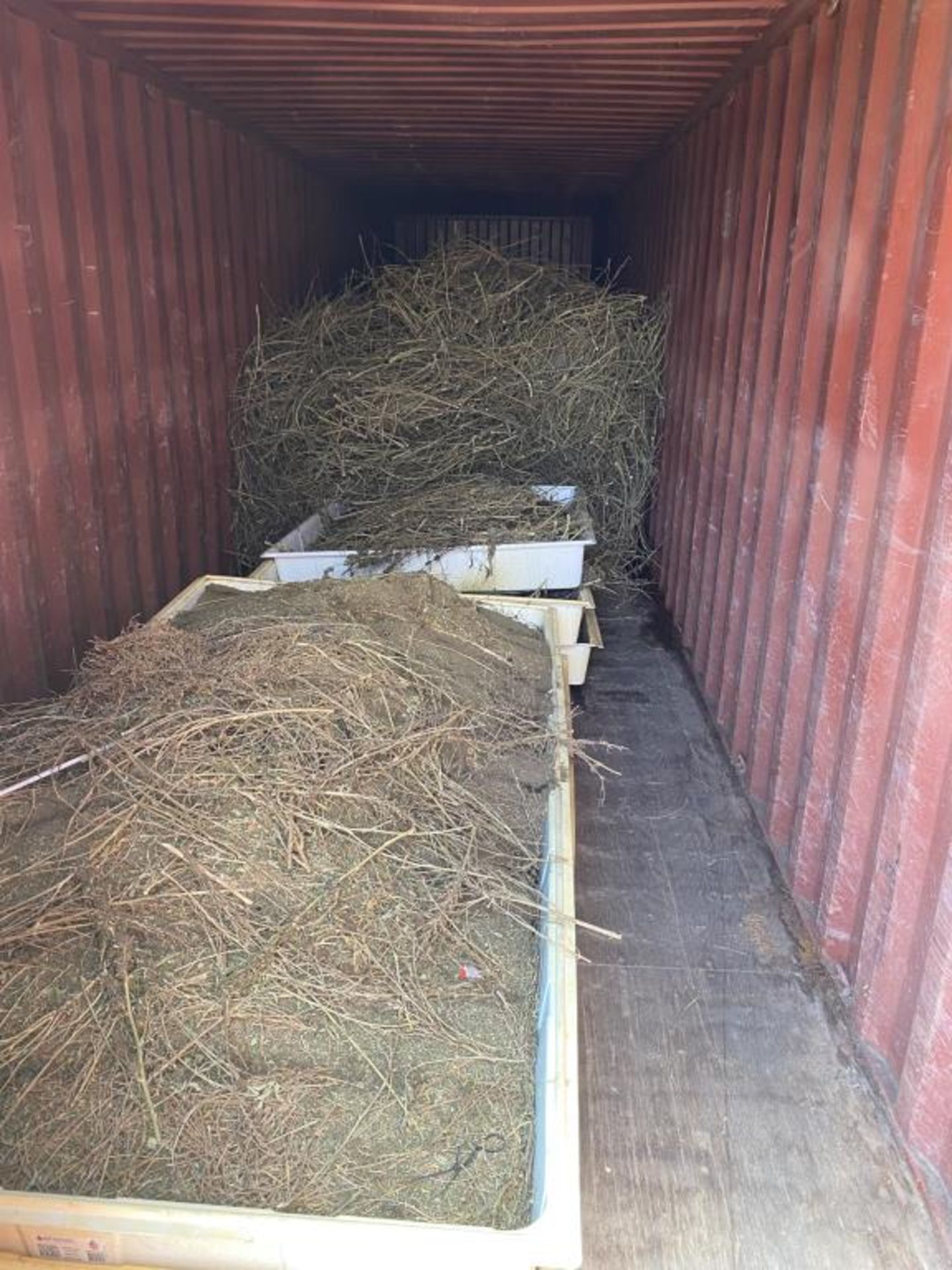 40' Shipping Container - Image 2 of 3