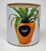 A boxed as new Lua Smart Planter in Eggplant (Packaging states 'Beta version, cannot be sold'. Box