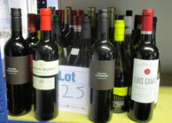 A quantity of assorted wines to include Terra Serena, Ramon Bilbao, Delfina Dominguez, Domaine de