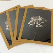 Four new Still Life 04 (Hydrangea) By Pia Winther, RRP £34 each