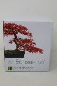 Thirteen Plant Theatre bonsai trio kits.