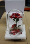A box of Yorking Beauty and The Beast Rose in Glass Dome Enchanted Rose with Light Up (Approximately