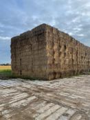 150x Wheat Straw (2020)