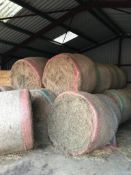 20x Meadow Hay