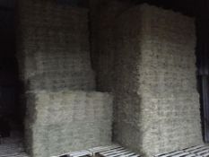 500 Flat 8 Bales only Meadow Hay in a barn in Barron 21 bale packs - 10t approx. Equifeedz Ltd., Old