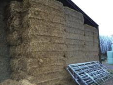47 Krone HDP 4ft x 3ft Bales only Oat Straw in a barn P A Cade Contractors, Paddock Farm, PE19 5UW